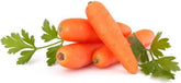 Conditionnement vrac (kg) - jeunes carottes fraîches BIO (environ 10 kg)